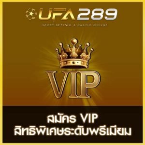 UFA289 VIP