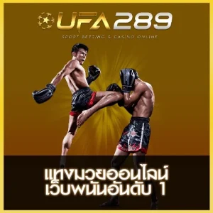 แทงมวย UFA289